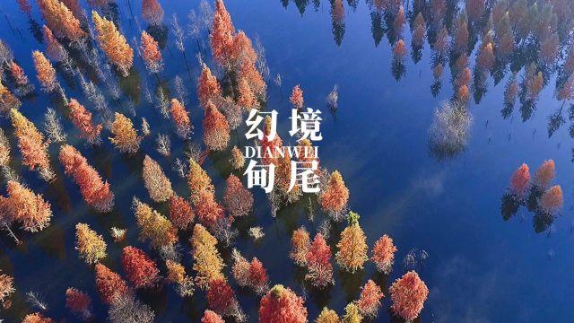 后卫营救