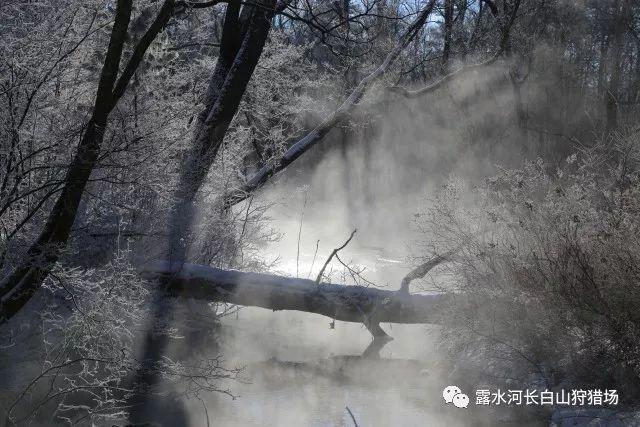 小寒节气，广东人都吃这碗饭，驱寒暖身很有效，香气扑鼻，真好吃