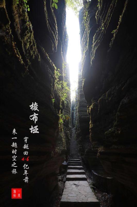 救援有趣的孔雀
