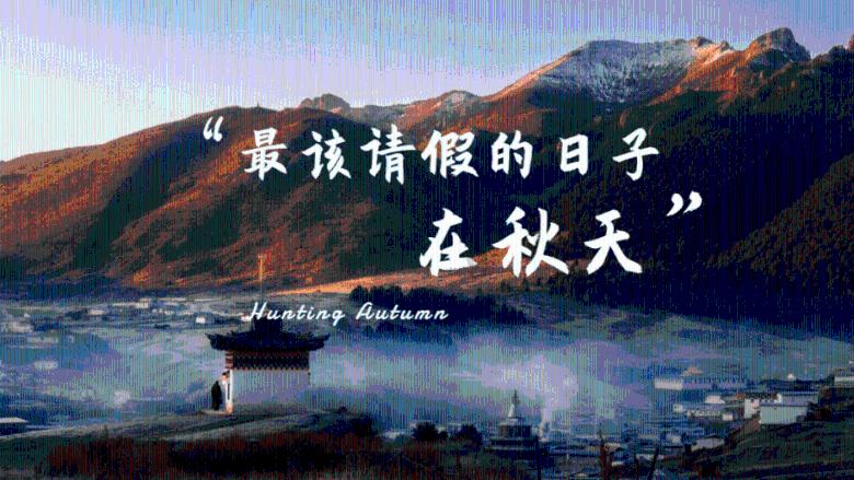 大象起舞,A股疯涨!回顾去年的救市失败,这次能兜住底吗?