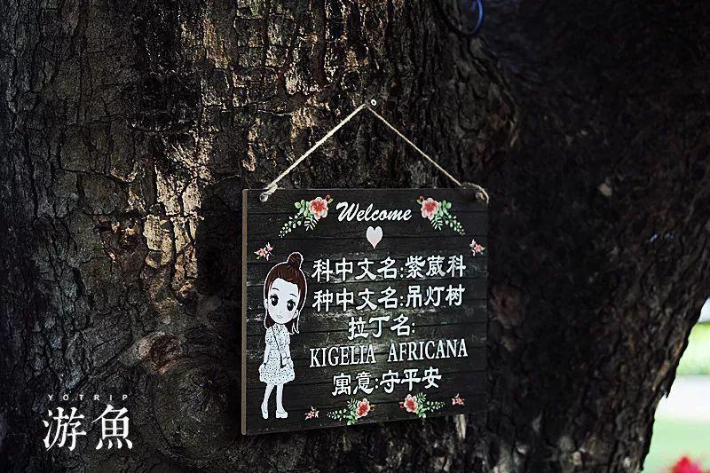 三小只僵尸的游戏时间2