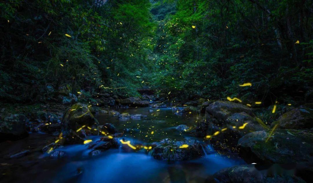 沪江开心词场