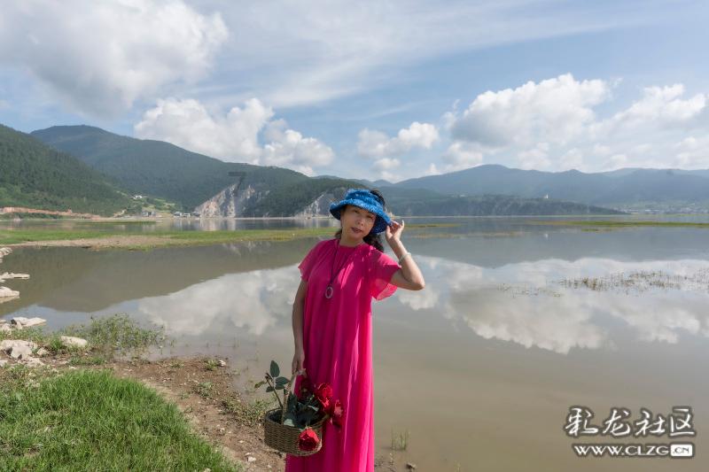 拯救枯树