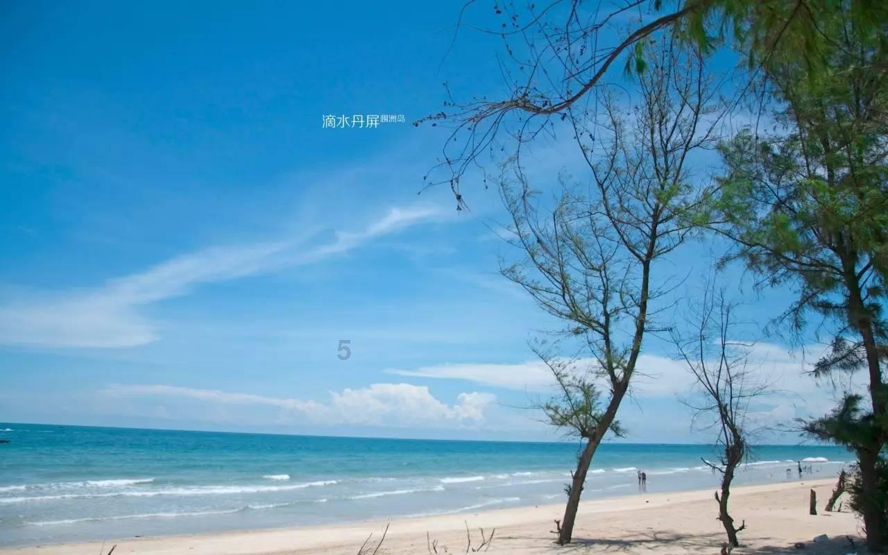 异闻录之玉磐心