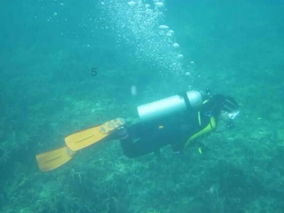 美丽皇后逃脱