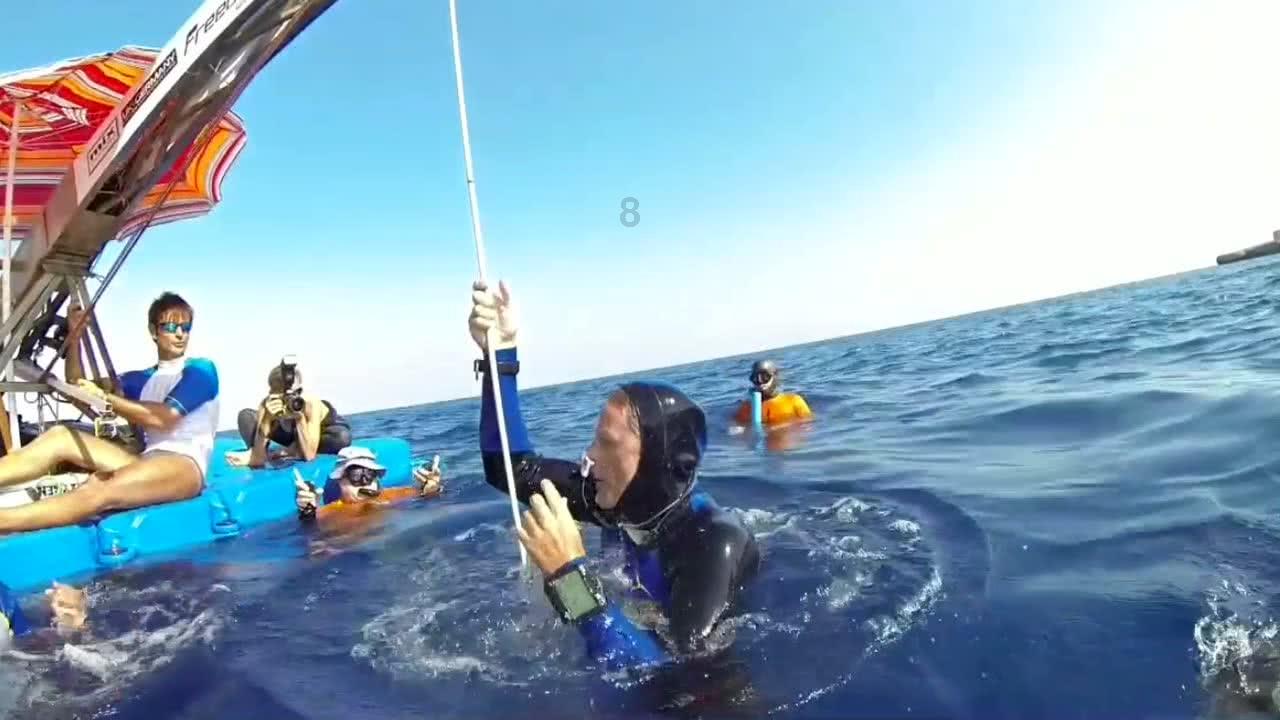 缤纷水果茶