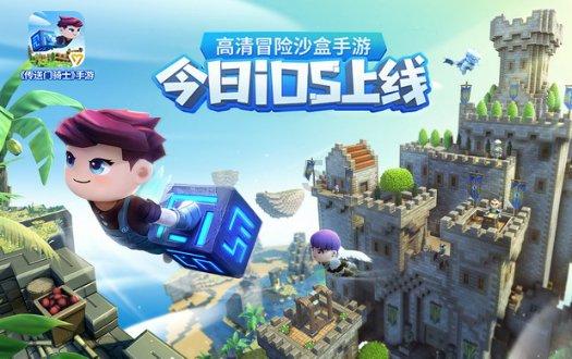 漂亮鹦鹉救援