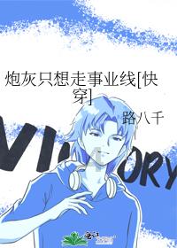 数学男孩