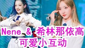 春雨直播app