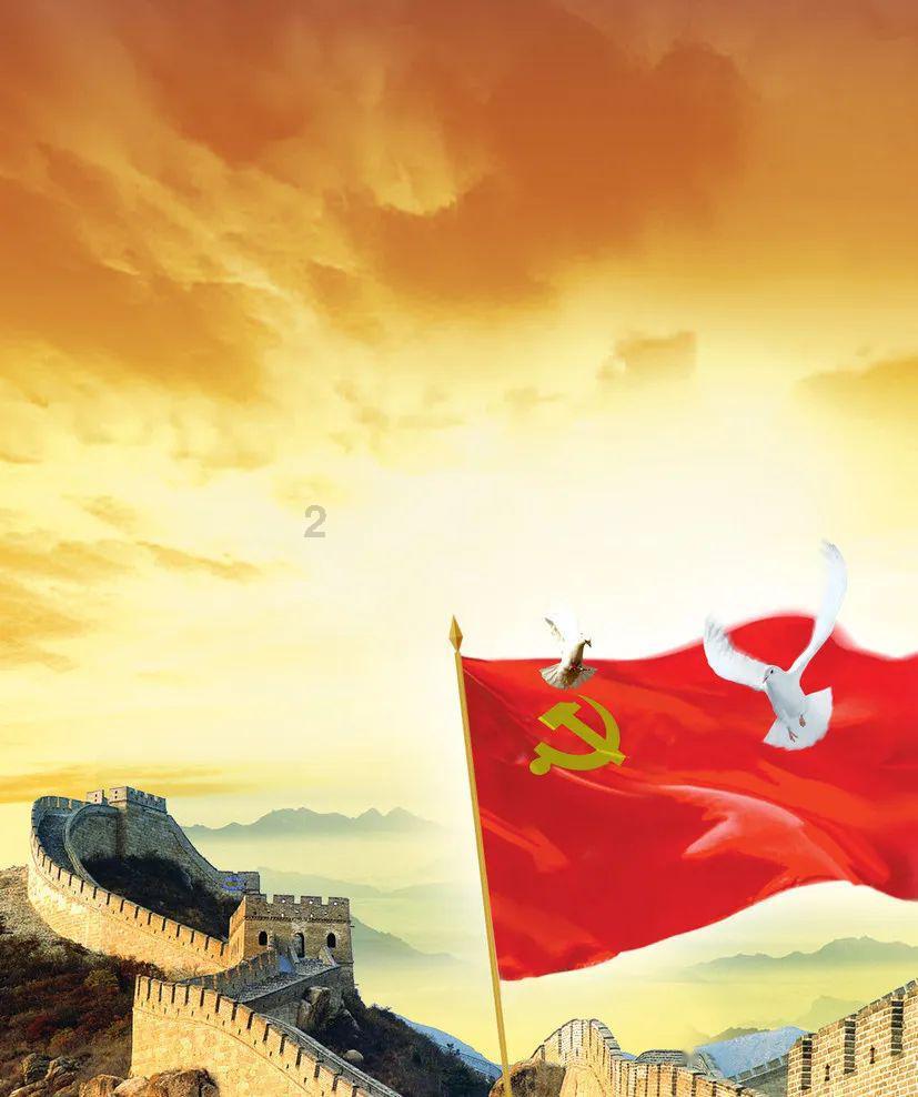 救援鹦鹉