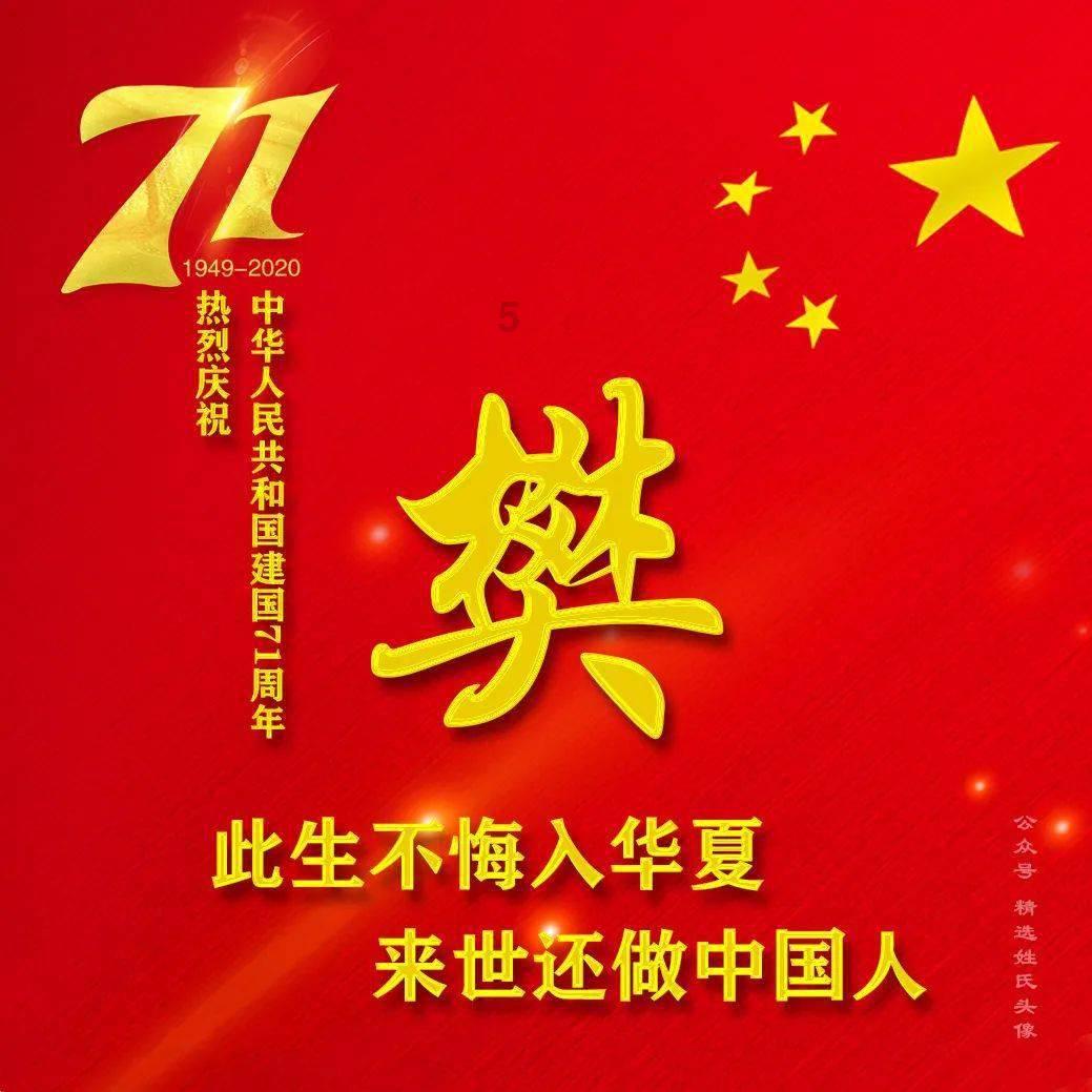 救援呆萌的猫
