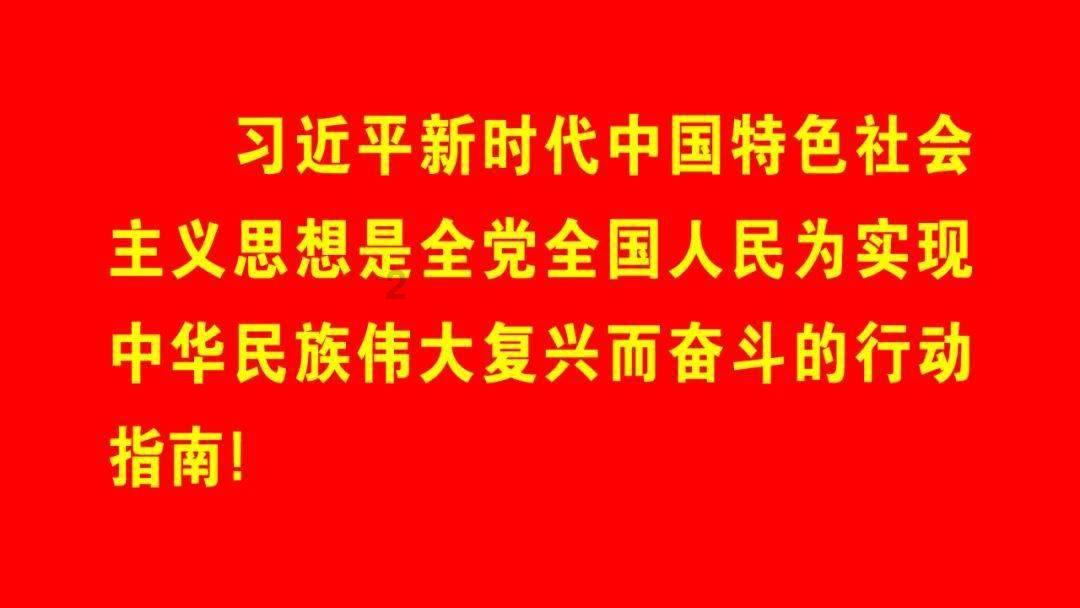 宠物世界聚会