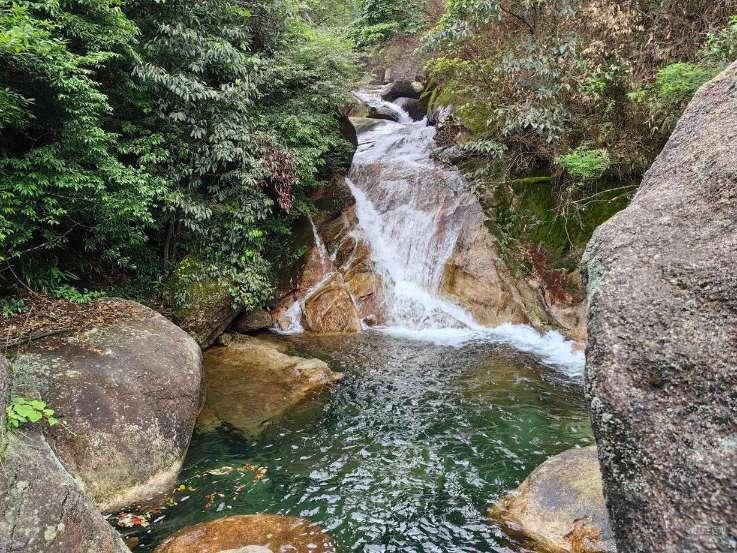 梦幻西游手游