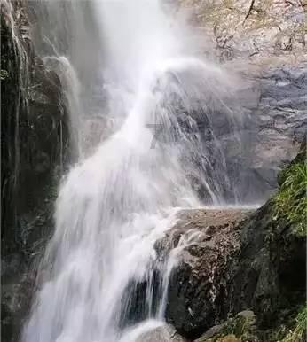 熊出没水果大陆2