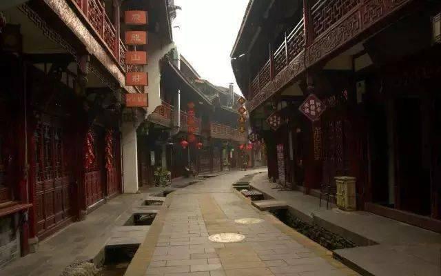 杀出重围人类分裂