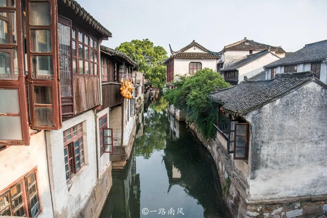 男子当街被抢50万元，报警后自己却被抓！