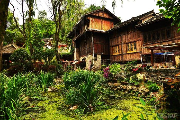 【两会关注】杨俊代表：发展村级产业 建设“四在农家·和美乡村”