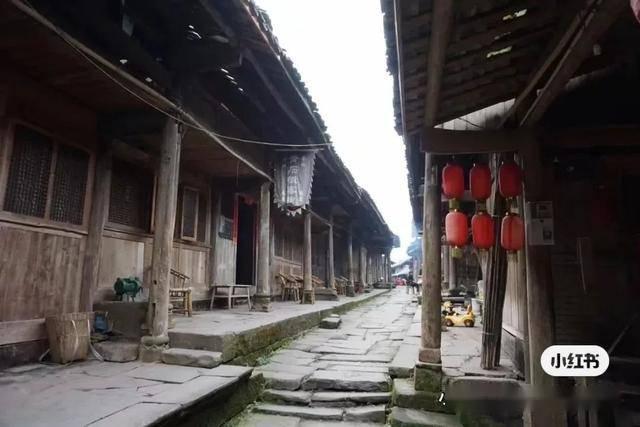 武汉大学专升本游戏画面