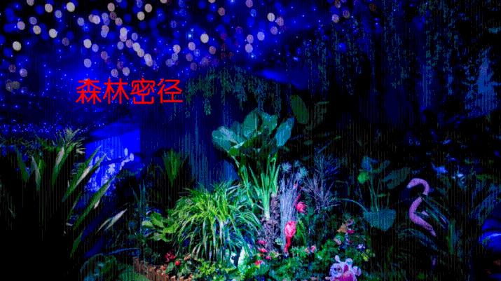 球球大作战下载最新版